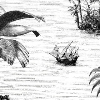 Khoob, Tropical Trees Black and White Wallpaper