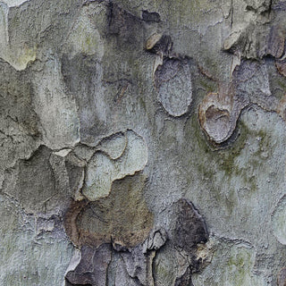 Distorted Paint Texture Themed Wallpaper for Walls