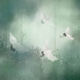 Siberian Cranes in a Beautiful Background, Customised Wallpaper