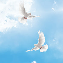Birds in Blue Sky, Ceiling and Walls Wallpaper, Natural Scenery , Customised