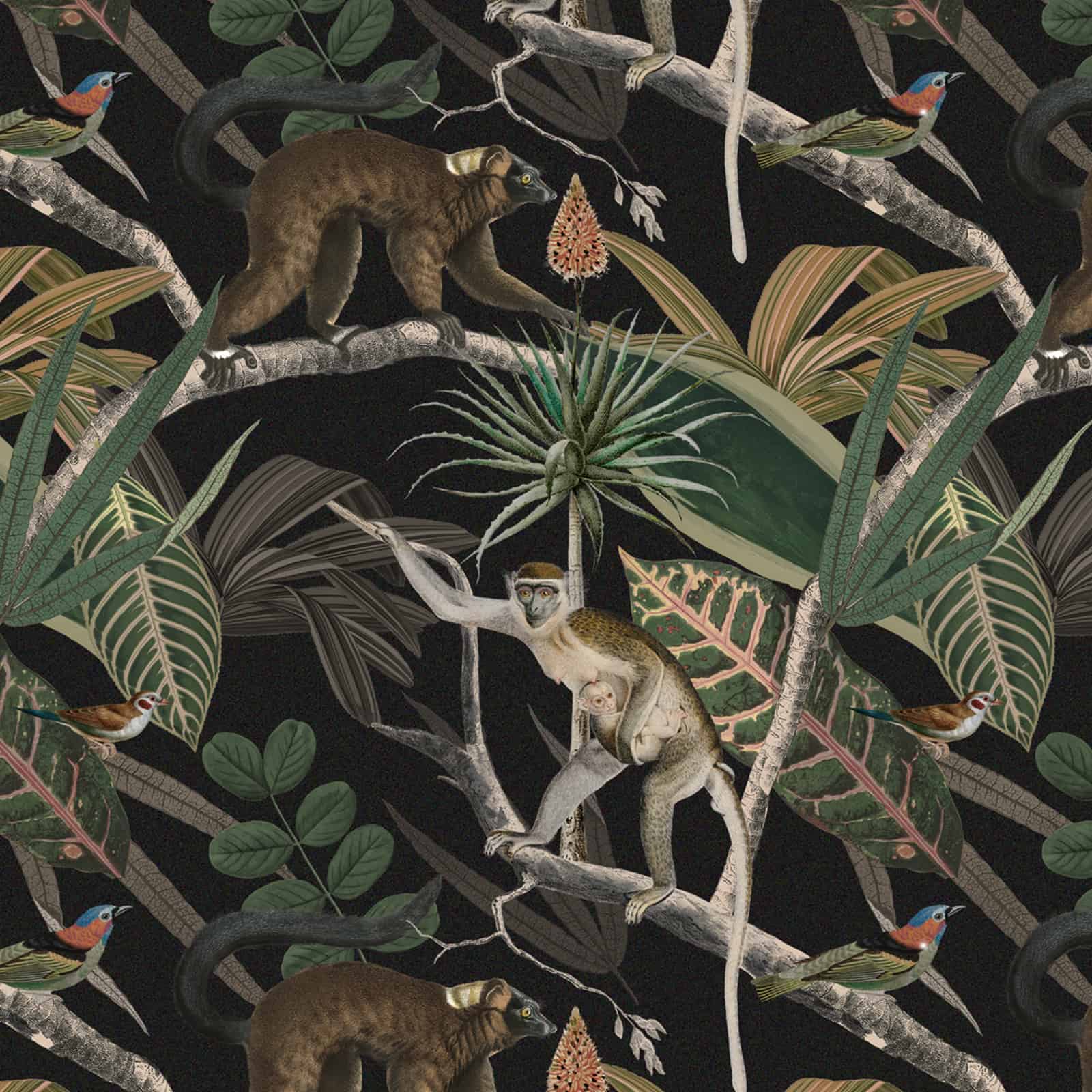 Langoor Bandar in Jungle, Customised Wall Wallpaper