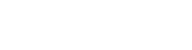 Life n Colors logo